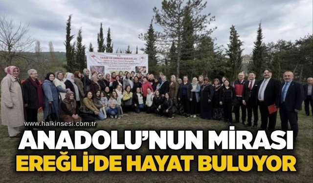 KDZ. Ereğli