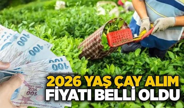 2026 yaş çay alım fiyatı belli oldu