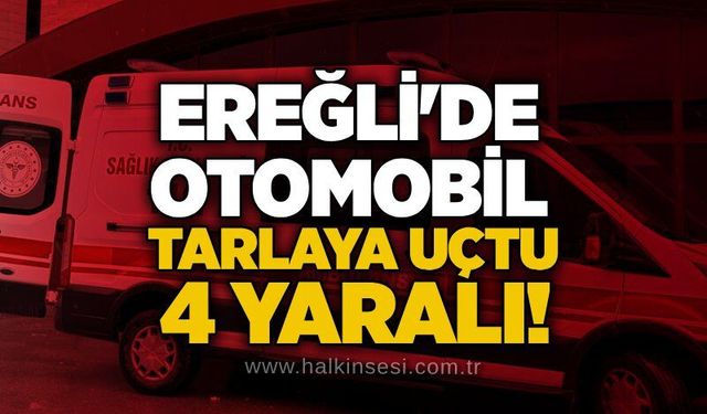 KDZ. Ereğli
