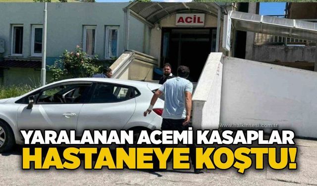Zonguldak