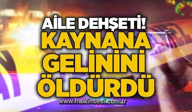 Aile dehşeti! Kaynana gelinini öldürdü