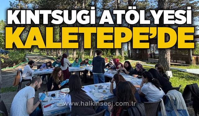 KDZ. Ereğli
