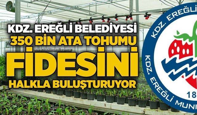 KDZ. Ereğli Belediyesi, 350 bin ata tohumu fidesini halkla buluşturuyor