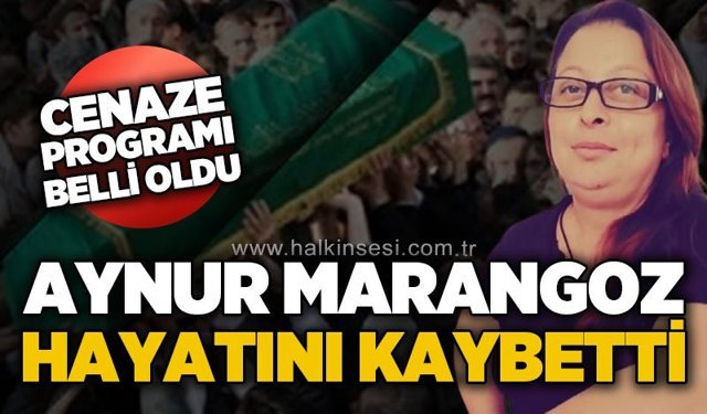 Devrek