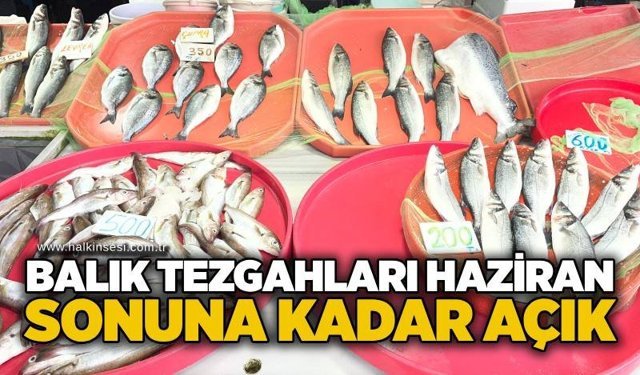 Zonguldak