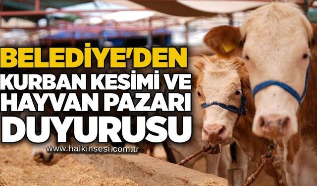 Devrek