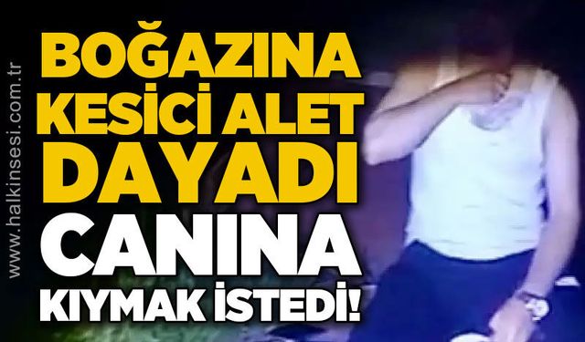 Bartın