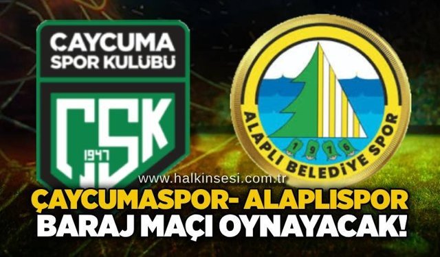 Spor
