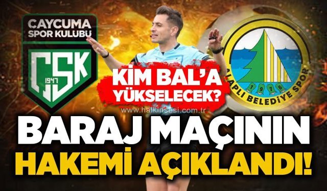 Spor
