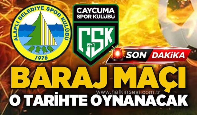 Spor