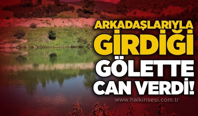 Arkadaşlarıyla girdiği gölette can verdi!