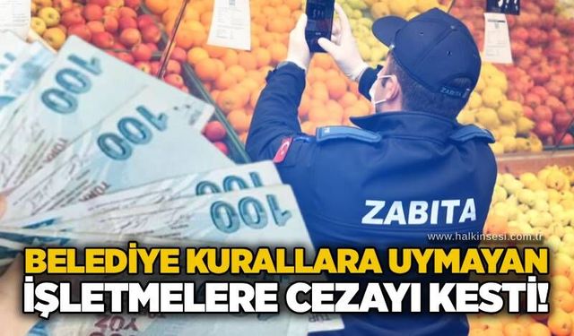 Gökçebey