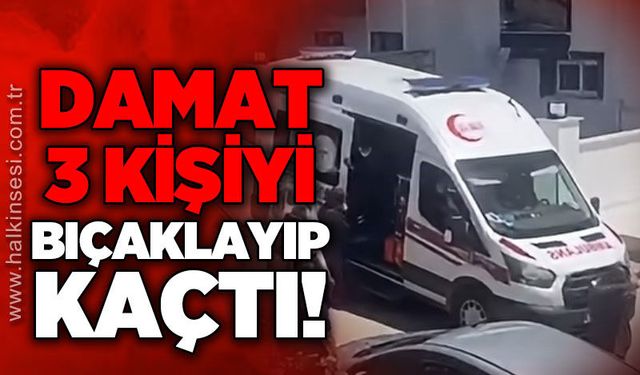 Damat 3 kişiyi bıçaklayıp kaçtı!