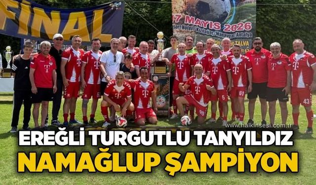 Spor