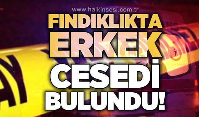 Fındıklıkta erkek c*sedi bulundu!