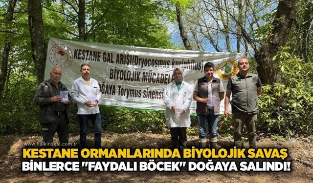 Çaycuma
