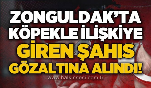 KDZ. Ereğli