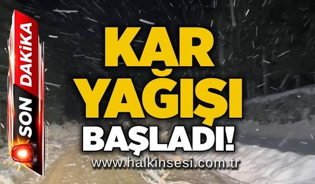 Kar yağışı başladı!