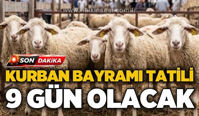 Ulusal