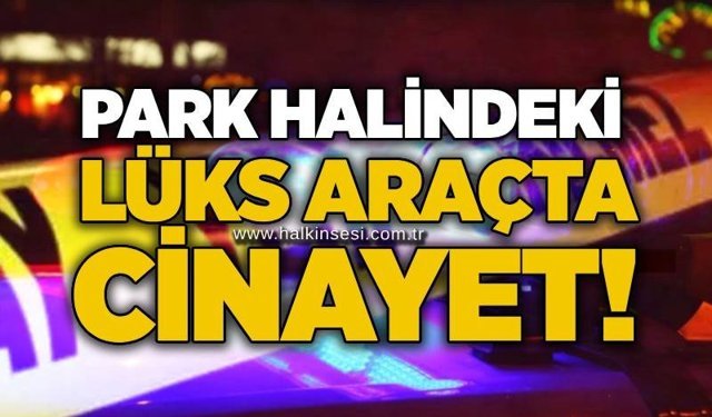 Park halindeki lüks araçta cinayet!
