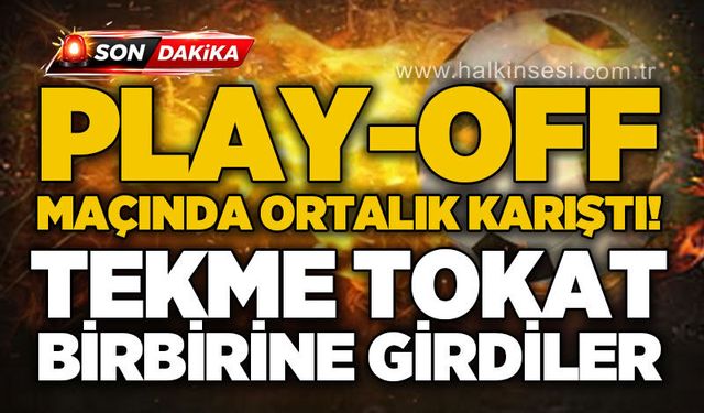 Spor