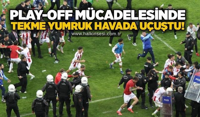 Spor