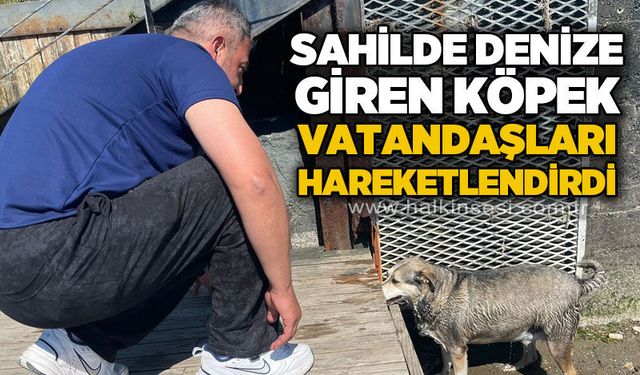 Zonguldak