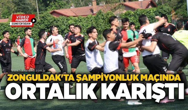 Spor