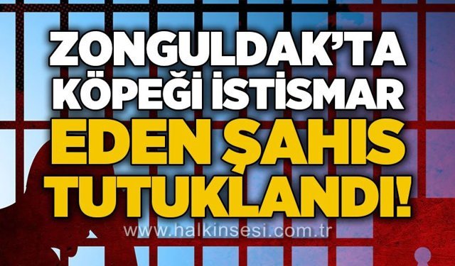 KDZ. Ereğli