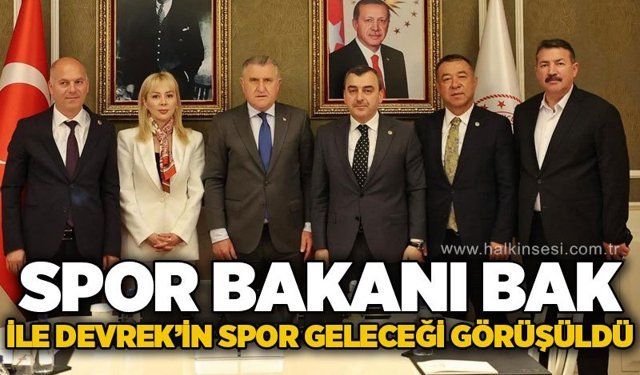 Spor