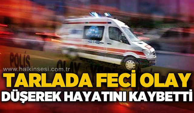 Devrek