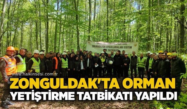 Zonguldak