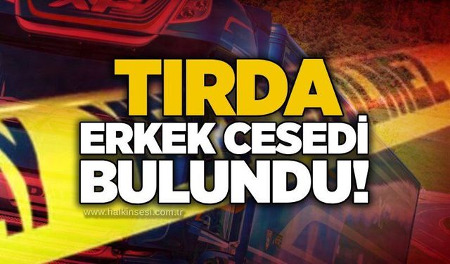 Park Halindeki Tırda erkek cesedi bulundu!