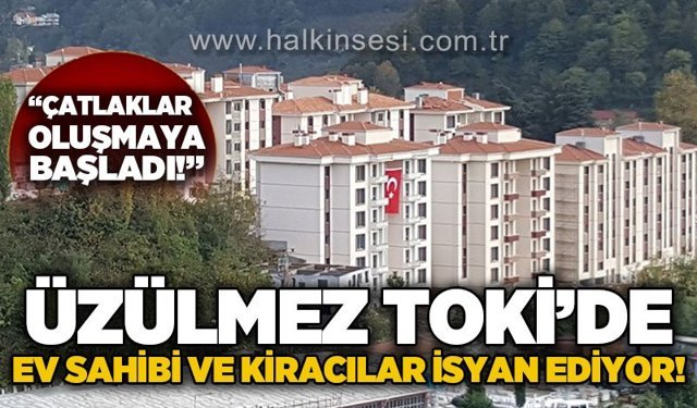 Üzülmez TOKİ'de fayanslar çatlıyor: Ev sahipleri, kiracılar çileden çıktı!
