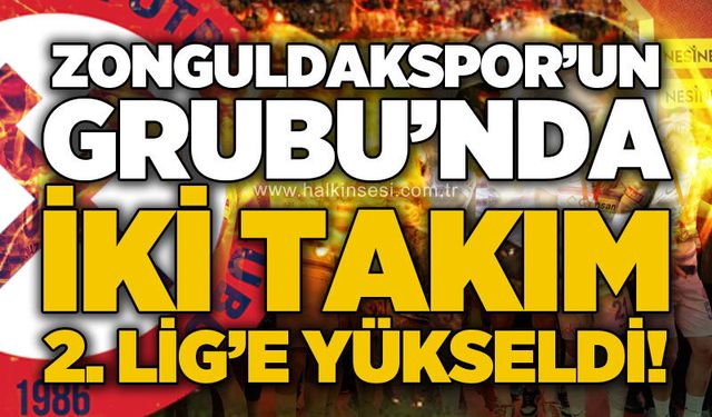 Spor