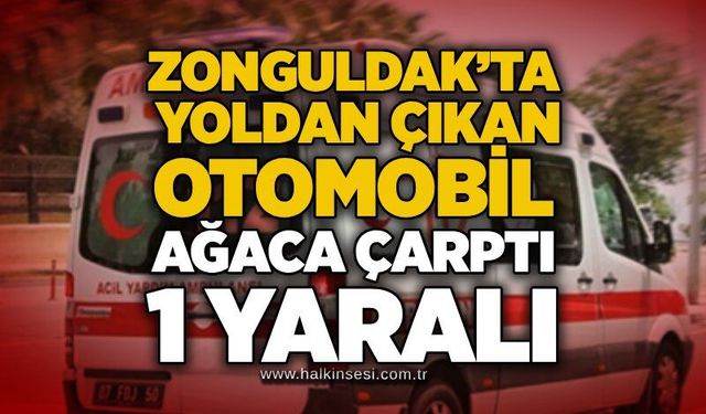 Zonguldak’ta yoldan çıkan otomobil ağaca çarptı: 1 yaralı