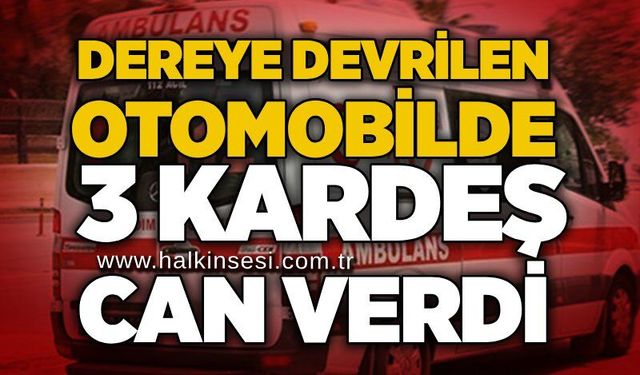 Dereye devrilen otomobilde 3 kardeş can verdi