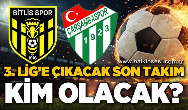 Spor