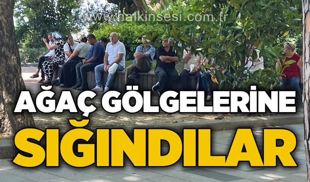 Zonguldak