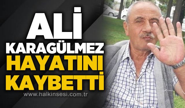 Devrek