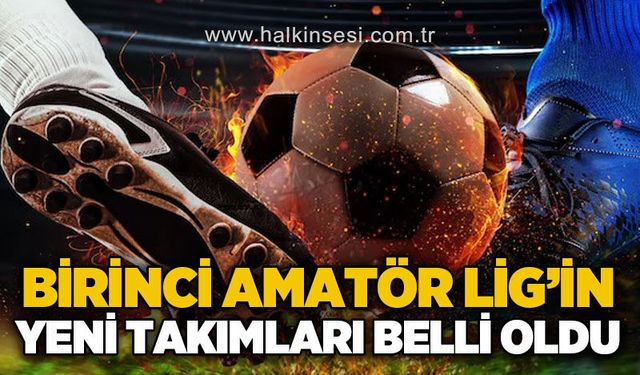 Spor