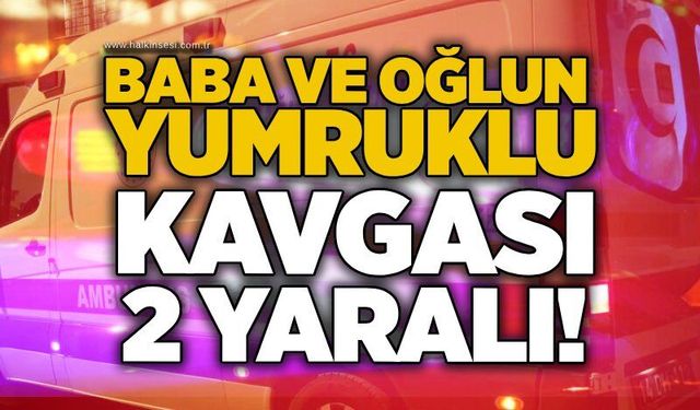 Baba ve oğlun yumruklu kavgası: 2 yaralı!