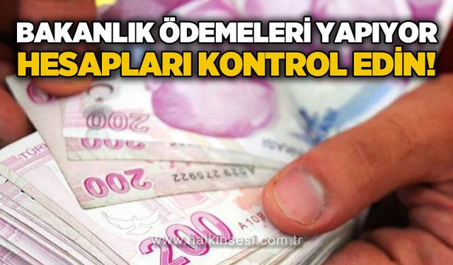 Ulusal