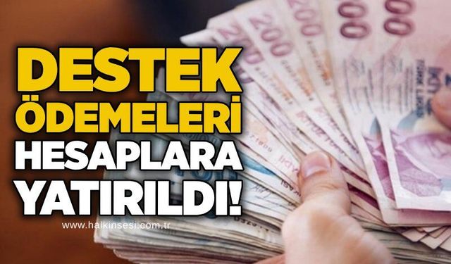 Destek ödemeleri hesaplara yatırıldı!