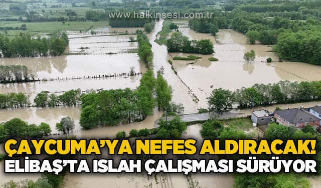 Çaycuma