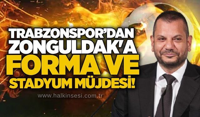 Spor