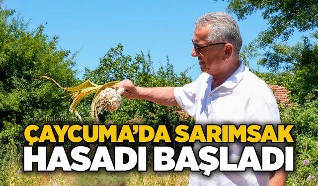 Zonguldak