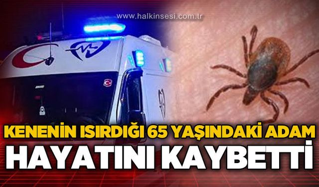 Kenenin ısırdığı 65 yaşındaki adam hastaneye hayatını kaybetti