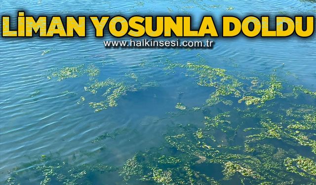 Zonguldak