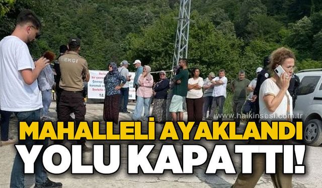 KDZ. Ereğli